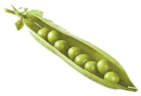 Green Peas close up on the white の写真素材
