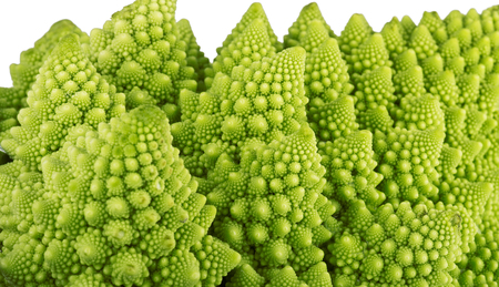 Roman broccoli vegetable,close up on the whiteの写真素材