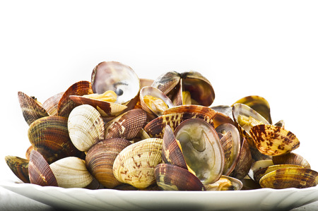 Fresh Clam cooked close up on whiteの写真素材