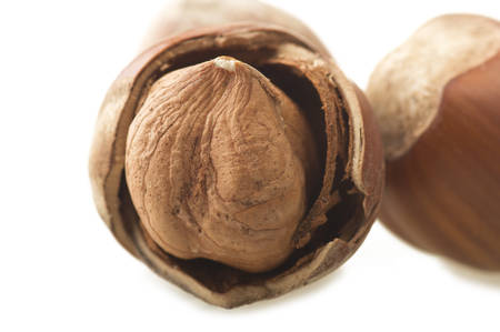 shelled hazelnuts close up on the whiteの写真素材