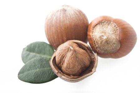 shelled hazelnuts close up on the whiteの写真素材
