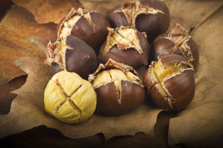group of chestnuts on a wooden tableの写真素材