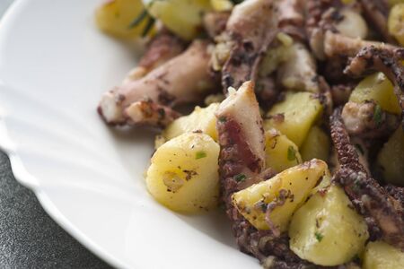 octopus salad with potatoes in a dish の写真素材