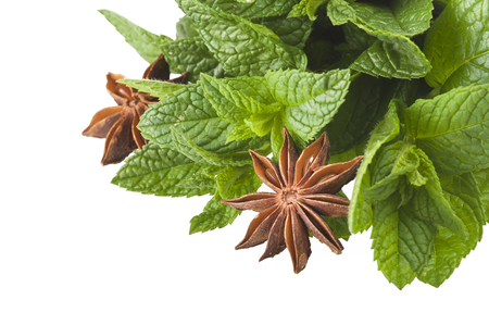 Cinnamon, star anise, mint, licorice, close up on the whiteの写真素材