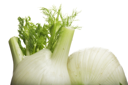 Two fennel close up on the whiteの写真素材