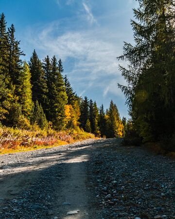 Lake Palu 'Italy Valmalenco Sondrio first days of autumnの写真素材