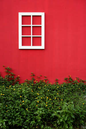 white window's frame on red cement wall with bushの写真素材