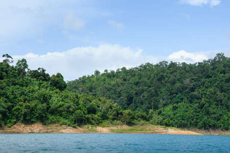 trees on a hill in a lake
