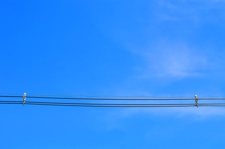 electric wire with blue skyの写真素材