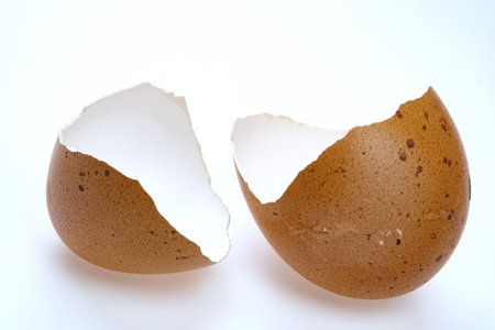 cracked egg shell isolate in white backgroundの写真素材