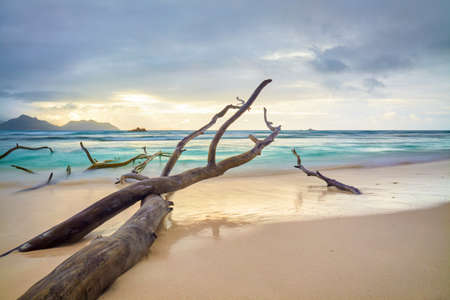 Deserted sandy beach in the Seychelles with flotsamの写真素材