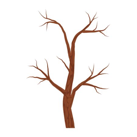 A Bare brown tree without leaves isolated on white background. Autumn or winter tree. Vector Illustrationのイラスト素材