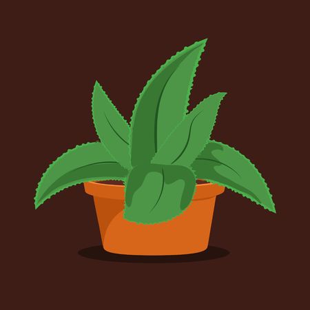 Aloe vera plant in pot on brown background. Succulent plant. Vector Illustrationのイラスト素材