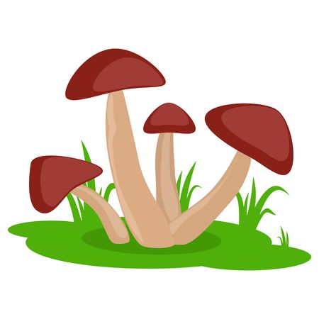 Mushrooms on the grass cartoon vector icon isolated on white background. Edible or inedible mushroom.のイラスト素材