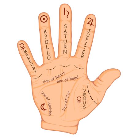 Palmistry or chiromancy hand with signs of the planets and zodiac signs. Palmistry map on open palm. Divination and prediction of the future. Vector illustartionのイラスト素材