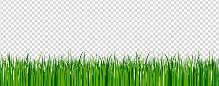 Green grass border on transparent vector background. Spring or summer plant field lawn. Vector illustrationのイラスト素材