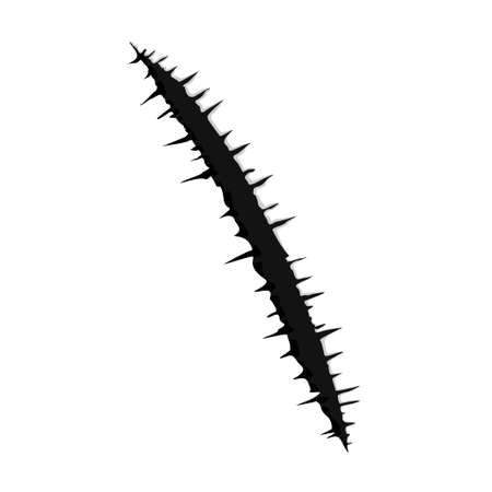 One black trace of monster claw on white baclground. hand scratch ,rip through,break through with shadow and light. Vector illustrationのイラスト素材