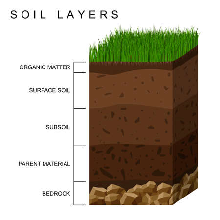 Soil layers diagram earth texture, stones. Ground with green grass on top. Mineral particles, sand, humus and stones, natural fertilizer. Geology infographics. Education for kids. Vector illustrationのイラスト素材