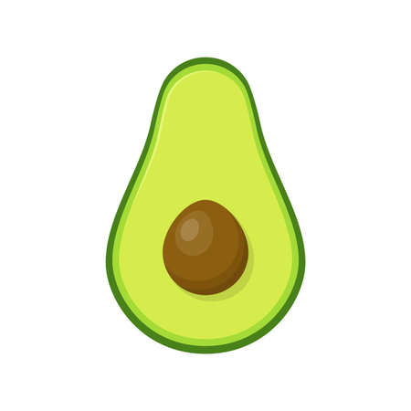 Avocado with seed cut in half icon isolated on white background. Summer fruits for a healthy lifestyle. Organic fruits. Vector illustration.のイラスト素材