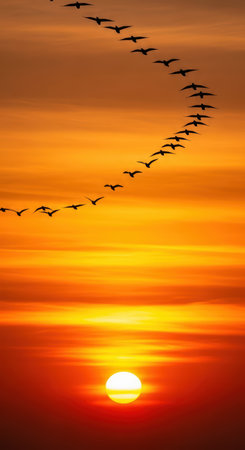 Mesmerizing sunset with geese in v-formation against vibrant orange skyの素材