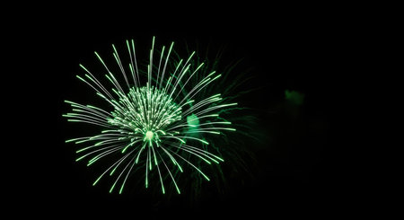 Bright green fireworks exploding against night skyの素材