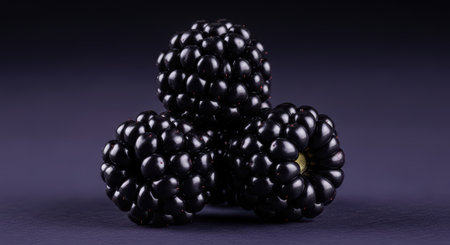 Close-up of three ripe blackberries on dark backgroundの素材