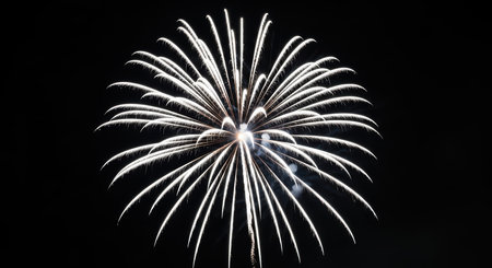 Brilliant white fireworks explosion in night sky celebrationの素材
