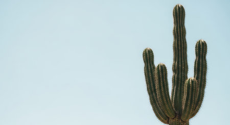 Tall green cactus against a clear blue sky in a desert landscapeの素材