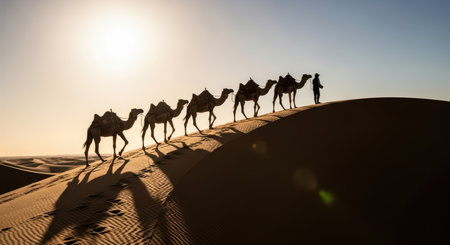 Silhouette of camel caravan at sunset in desert sand dunesの素材