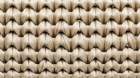 Intricate beige woven rope pattern with detailed braided textureの素材