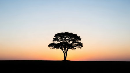 Solitary tree silhouette against vibrant sunset and clear sky in serene landscape.の写真素材