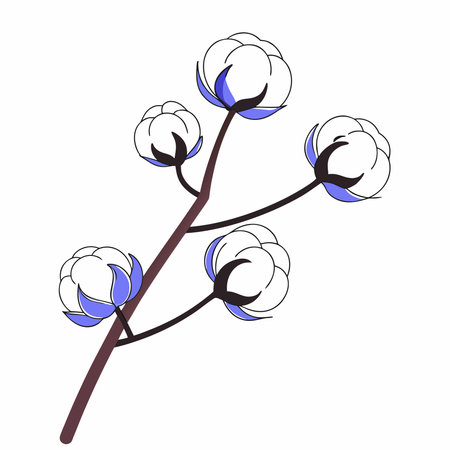 Minimalist illustration of cotton plant branch with white boll flowers and brown stems on a simple white background.のイラスト素材