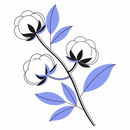 Minimalist cotton plant illustration with black and blue leaves highlighting natural elegance and botanical simplicity.のイラスト素材