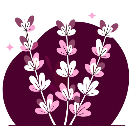 Stylized lavender illustration with blossoms and leaves in minimalist purple and pink design aesthetic.のイラスト素材
