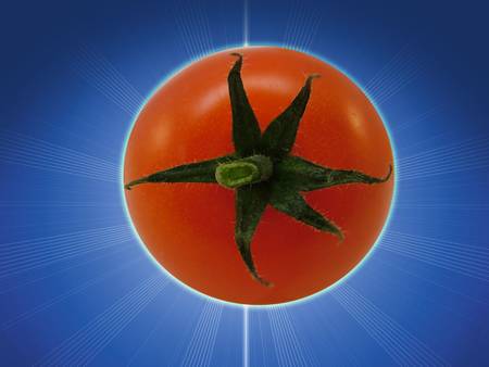 tomatoeの写真素材