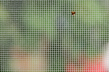 Mosquito net on the window of the country house