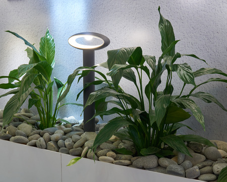 Outdoor electric led lamp and green garden plants near house wallの写真素材