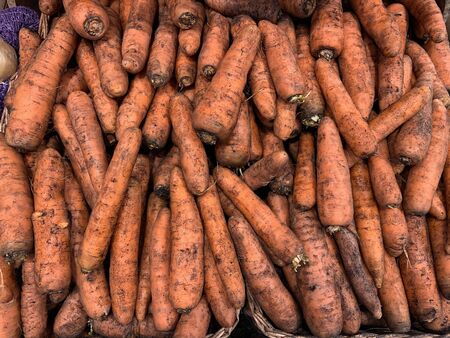 Heap of carrot in the store basket