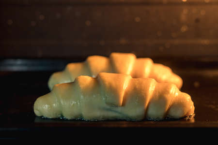 Croissants still raw in the oven ready to be cooked homemadeの写真素材