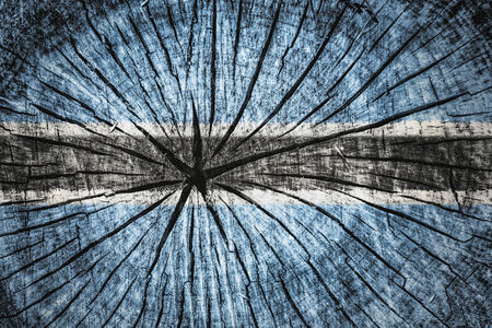   flag of Botswana on cracked wooden textureの写真素材