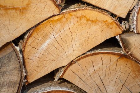 cut and stacked treeの写真素材