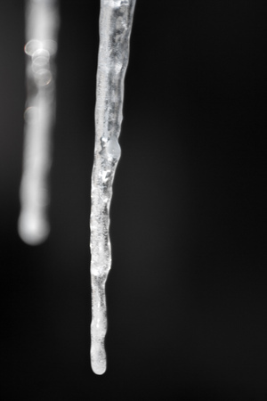 Macro of white icicle and black backgroundの写真素材