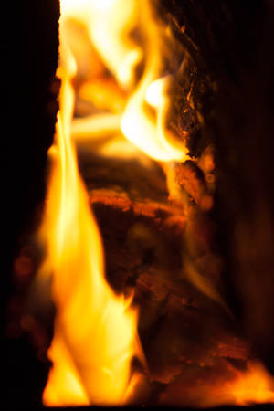 Flame of fire in a tree stoveの写真素材