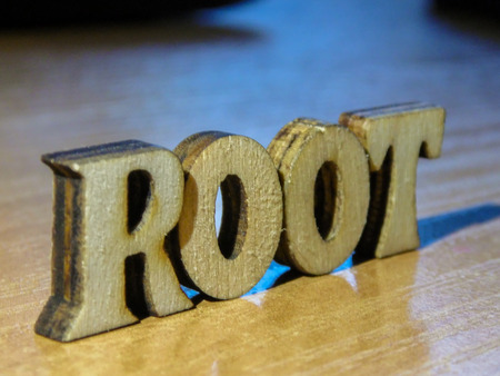 The word 'root' made of wooden letters. wood inscription on table