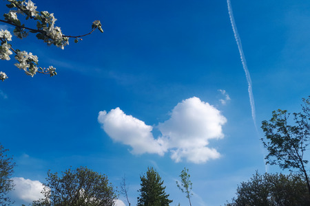 blue sky with single white cloudの写真素材