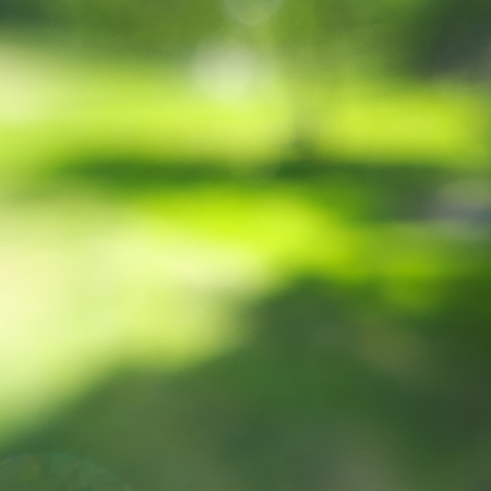 blurry green nature backgroundの写真素材