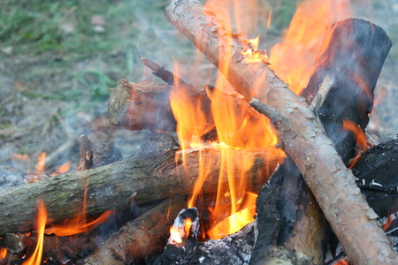 Burning and smoking wood logs