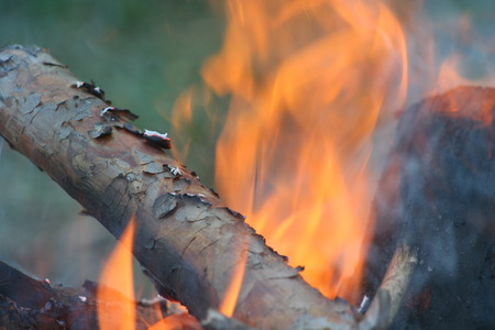 Burning and smoking wood logs