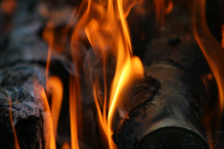 Burning and smoking wood logs