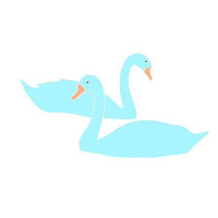 two blue swans vector on white backgroundのイラスト素材